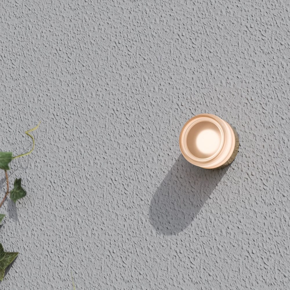 Interior Wall Light / Sconce Gull Wall Light