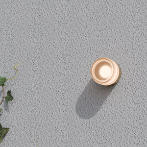 Interior Wall Light / Sconce Gull Wall Light