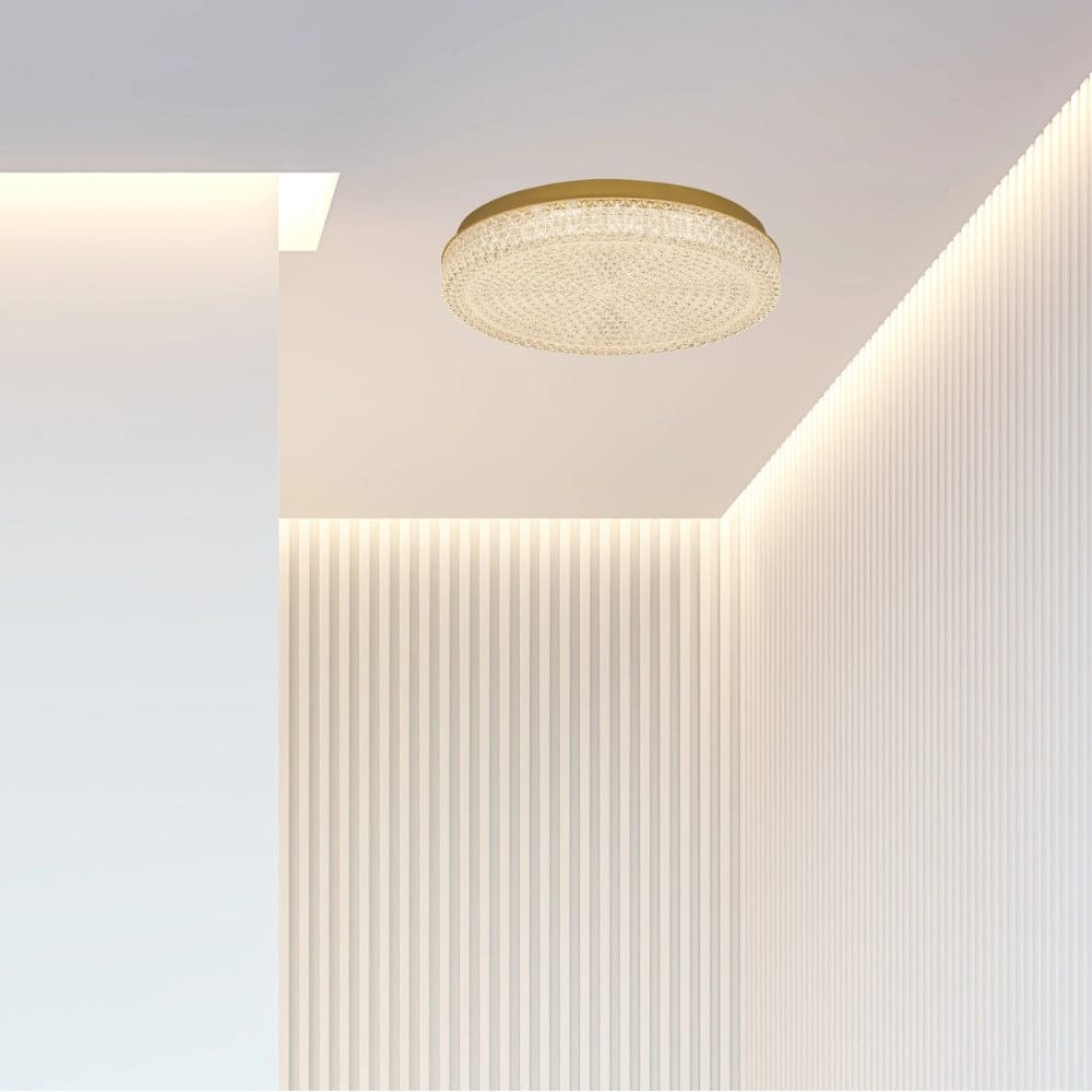 Interior Flush & Semi Flush Ibis Ceiling Light