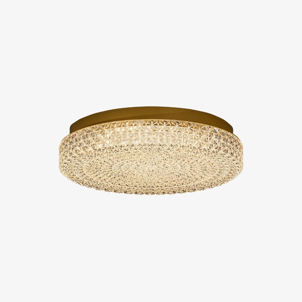 Interior Flush & Semi Flush Ibis Ceiling Light