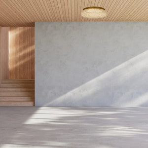 Interior Flush & Semi Flush Ibis Ceiling Light