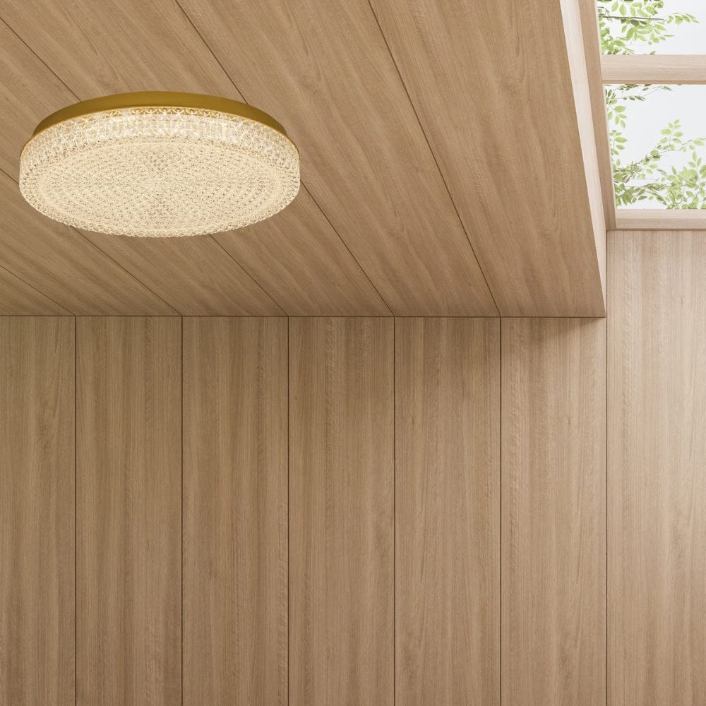 Interior Flush & Semi Flush Ibis Ceiling Light