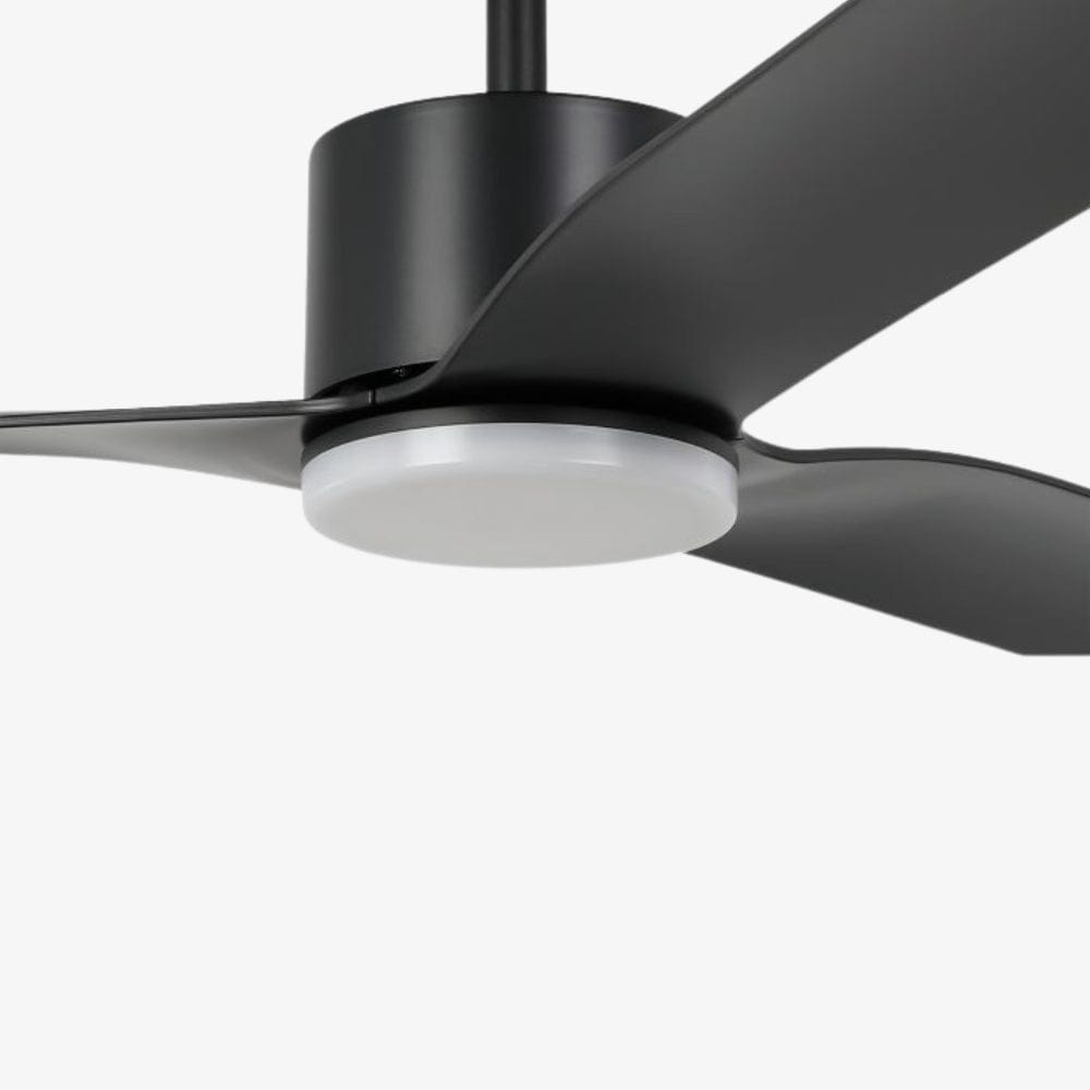 With Light Iluka Ceiling Fan Matte Black with Light