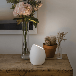 Floor Lamps Limina Floor Lamp