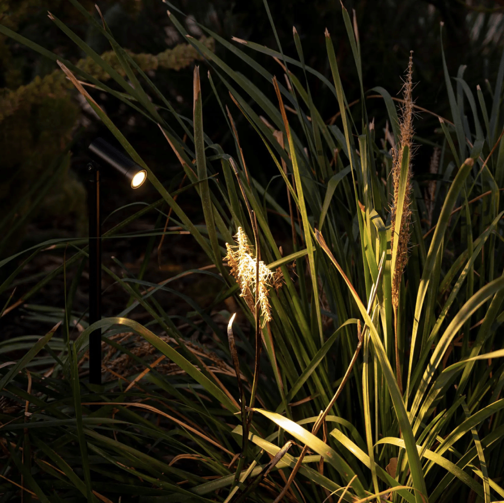 Locus Surface Mounted Spotlight - 24V - Urban Lighting