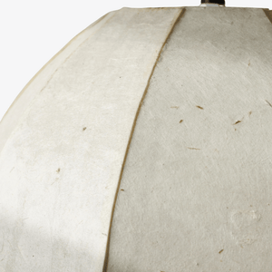 Interior Pendant Lumen Pendant