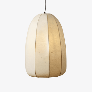 Interior Pendant Lumen Pendant