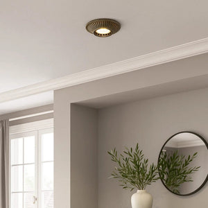 Interior Flush & Semi Flush Mini Ceiling Light