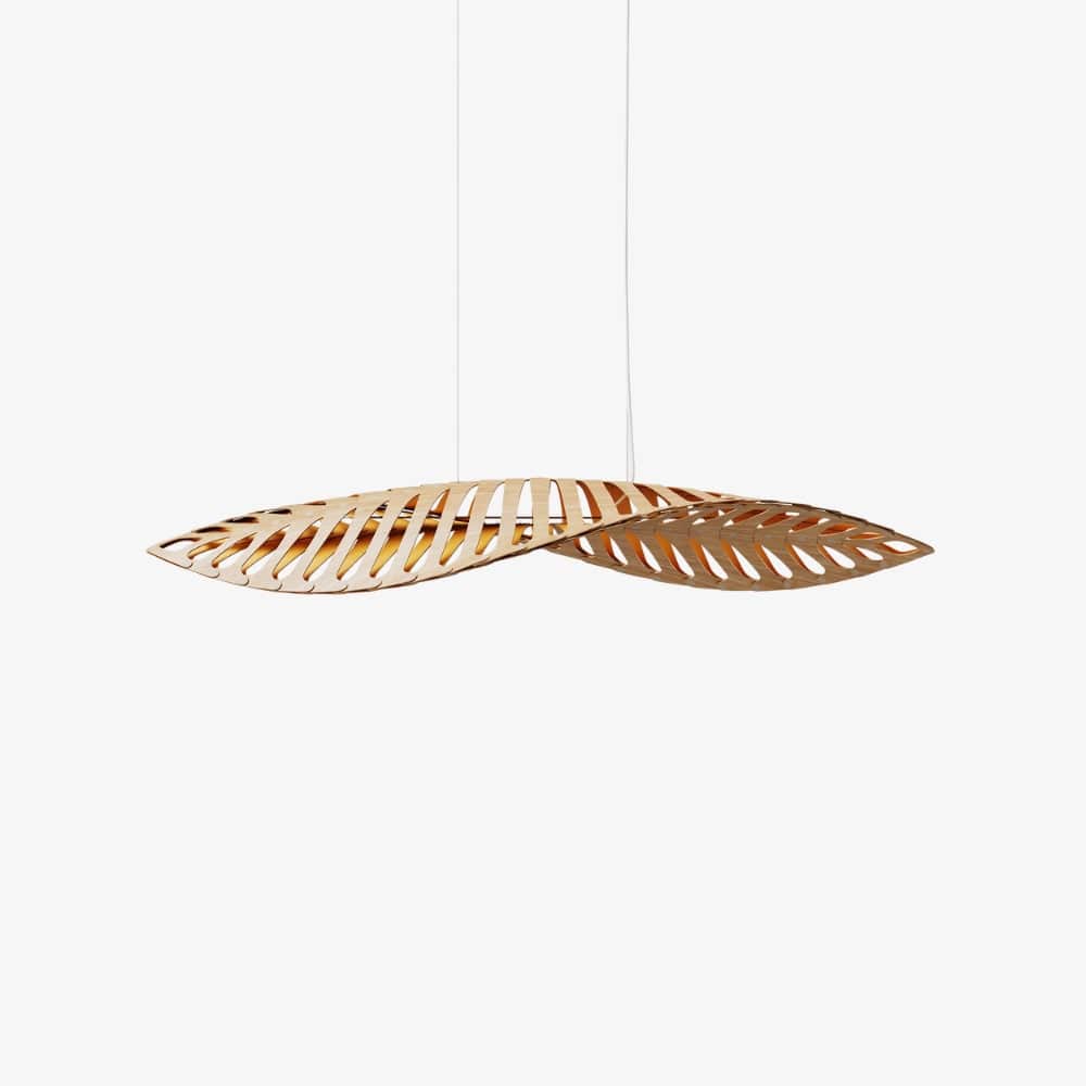 Interior Pendant Navicula Pendant