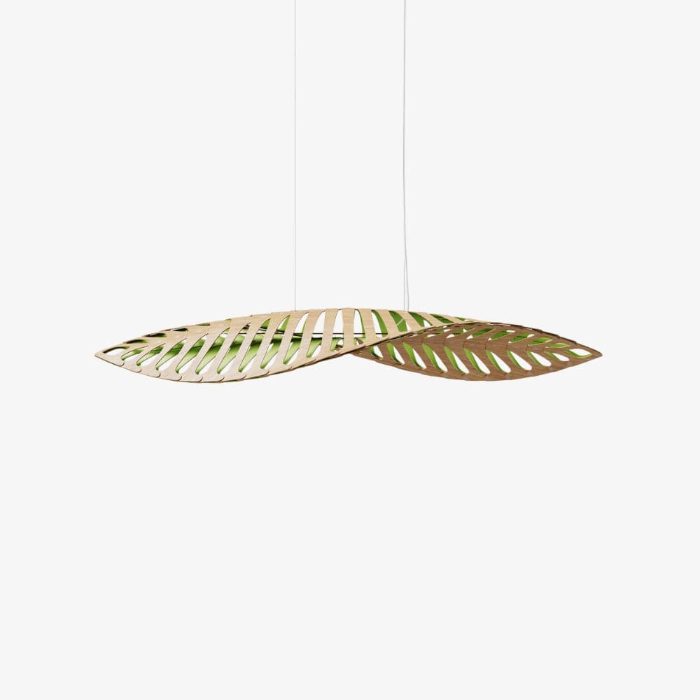 Interior Pendant Navicula Pendant