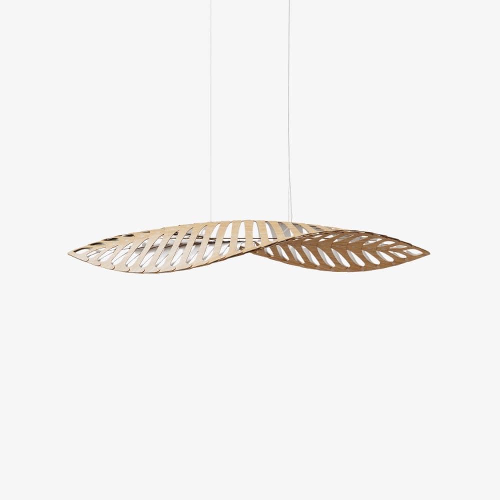 Interior Pendant Navicula Pendant