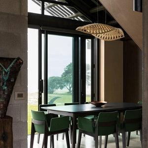 Interior Pendant Navicula Pendant