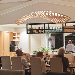 Interior Pendant Navicula Pendant