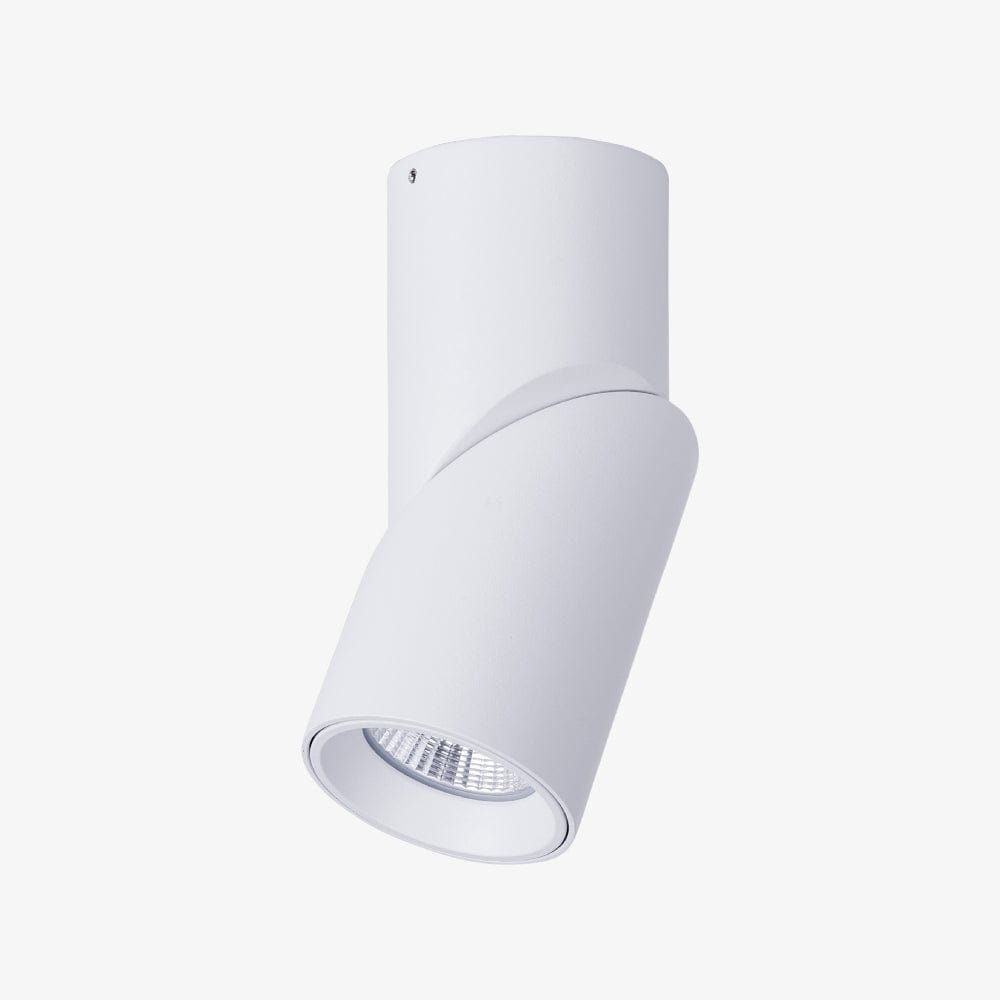 Surface Mounted Nella Rotatable Surface Mounted Downlight