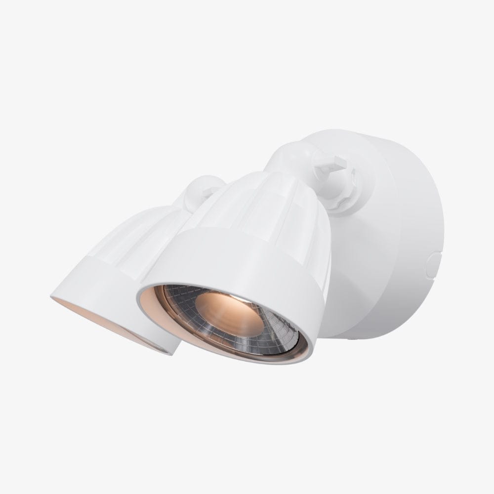Exterior Spot & Flood Nighthawk Double LED Spotlight