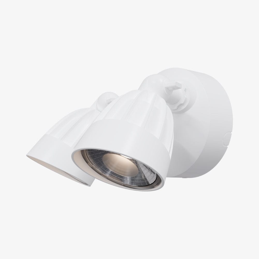 Exterior Spot & Flood Nighthawk Double LED Spotlight