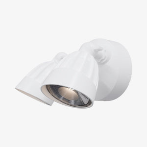 Exterior Spot & Flood Nighthawk Double LED Spotlight