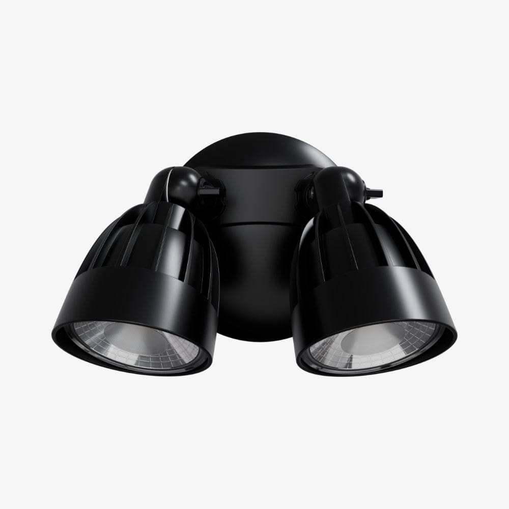 Exterior Spot & Flood Nighthawk Double LED Spotlight