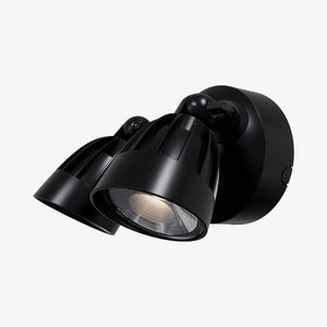Exterior Spot & Flood Nighthawk Double LED Spotlight