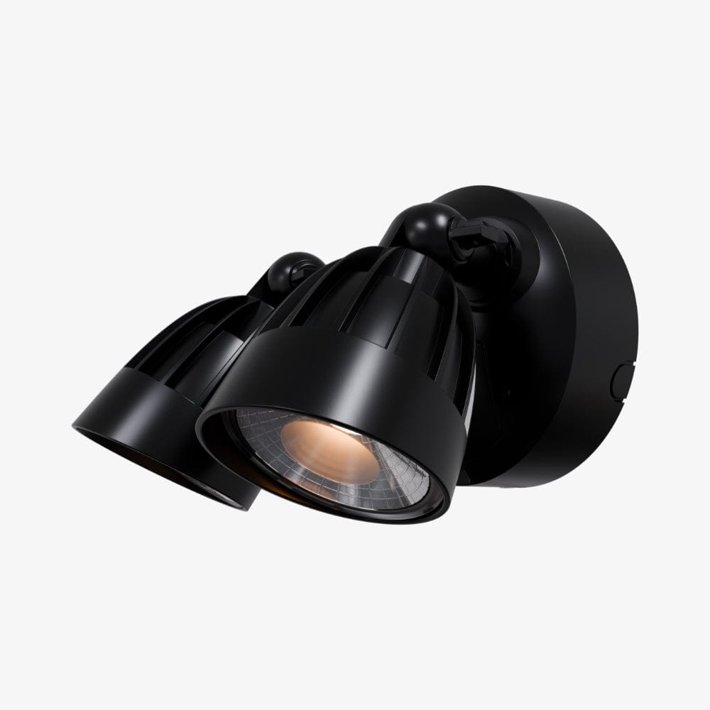 Exterior Spot & Flood Nighthawk Double LED Spotlight With Sensor