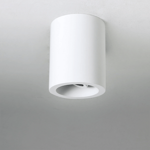 Surface Mounted Osca Round 140 Adjustable Downlight