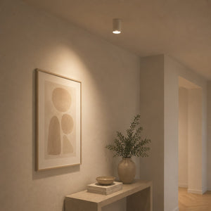 Surface Mounted Osca Round 140 Adjustable Downlight