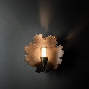 Interior Wall Light / Sconce Pangea 1 Light Sconce