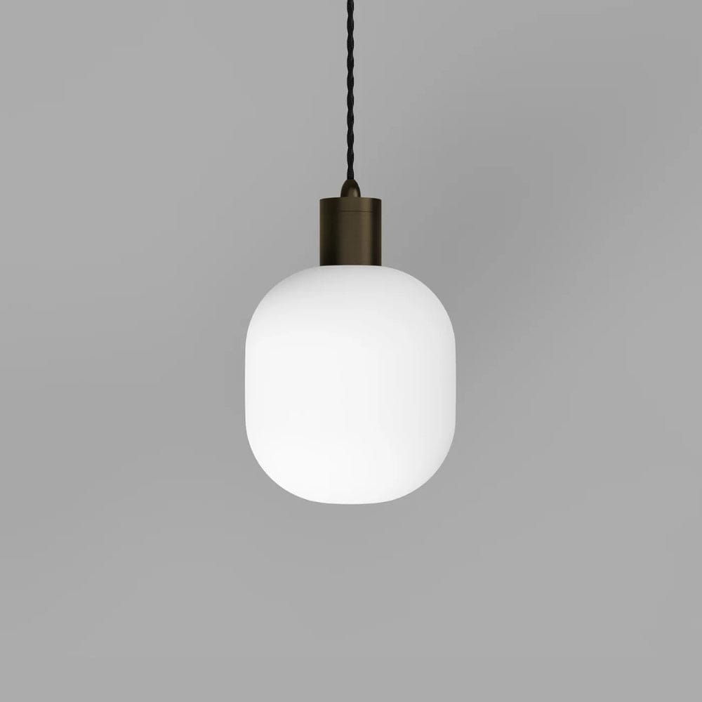 Interior Pendant Parlour Curve Pendant Light