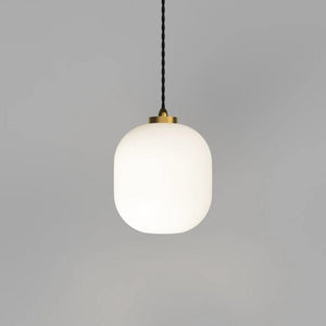 Interior Pendant Parlour Curve Pendant Light