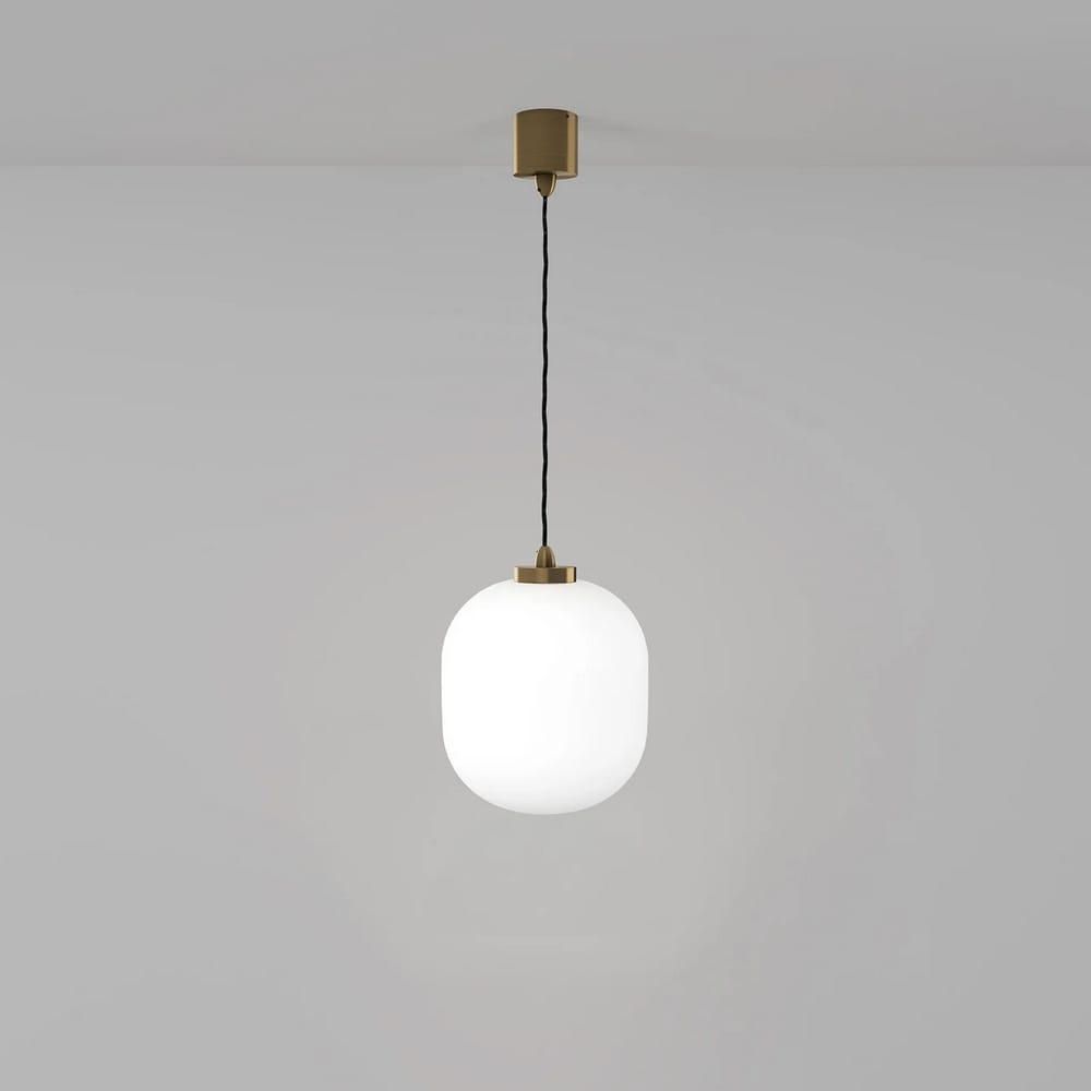 Interior Pendant Parlour Curve Pendant Light