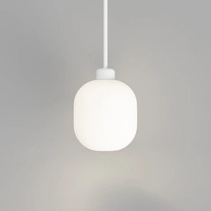 Interior Pendant Parlour Lite Curve Pendant Light