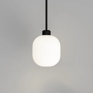 Interior Pendant Parlour Lite Curve Pendant Light