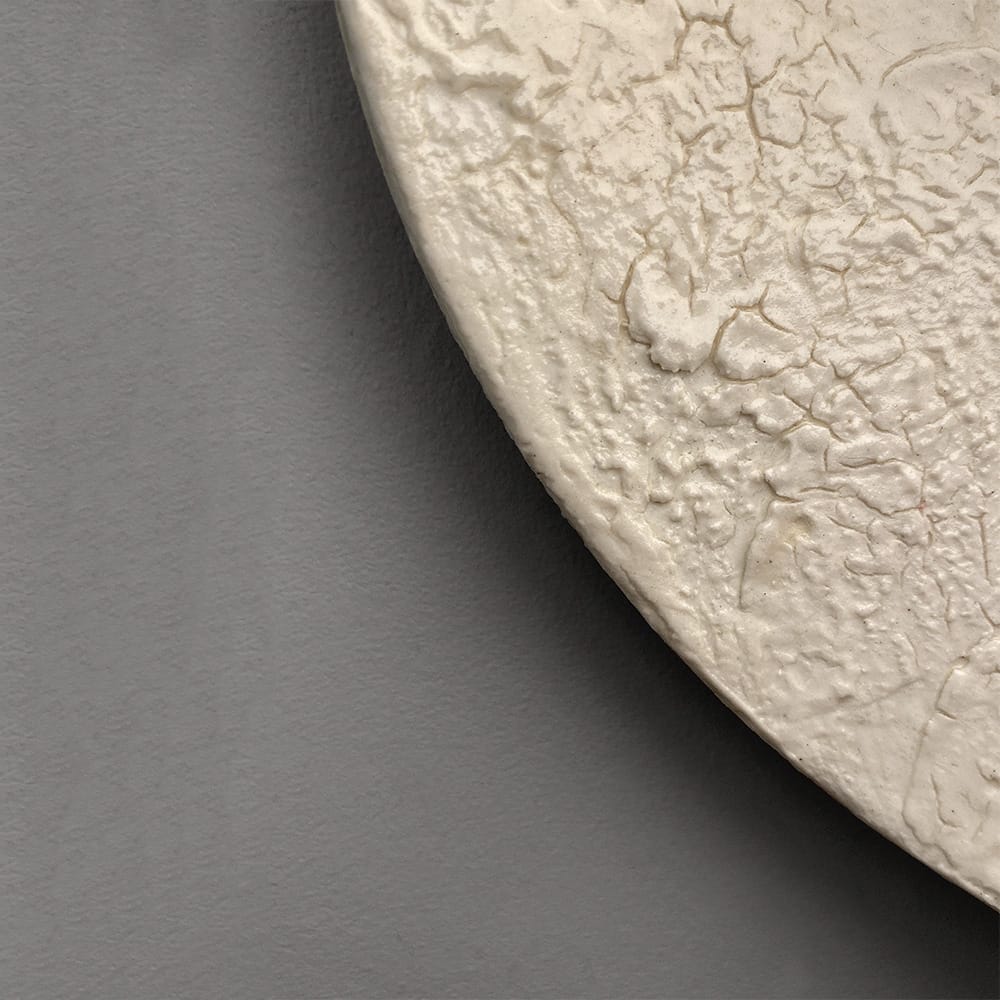Interior Wall Light / Sconce Petal Wall Light