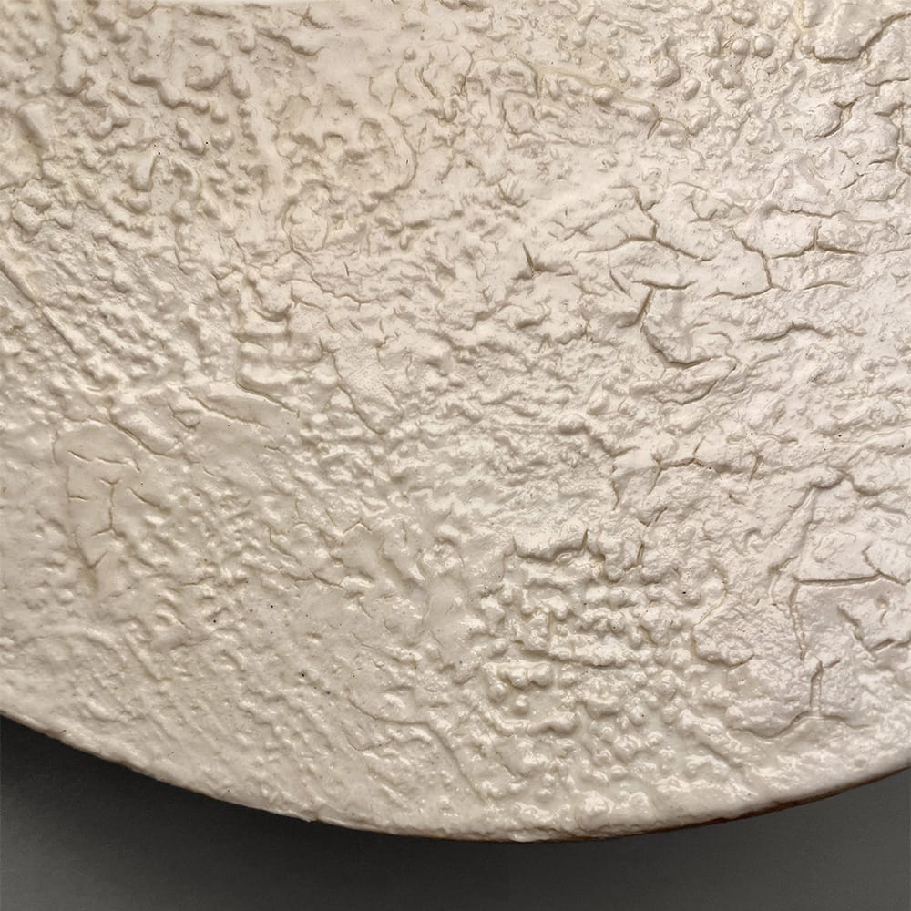 Interior Wall Light / Sconce Petal Wall Light