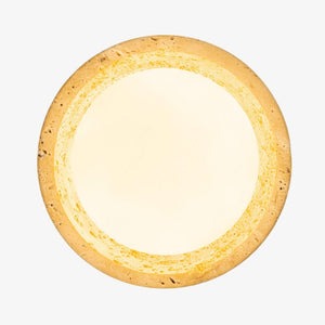 Interior Wall Light / Sconce Petra Wall / Ceiling Mount