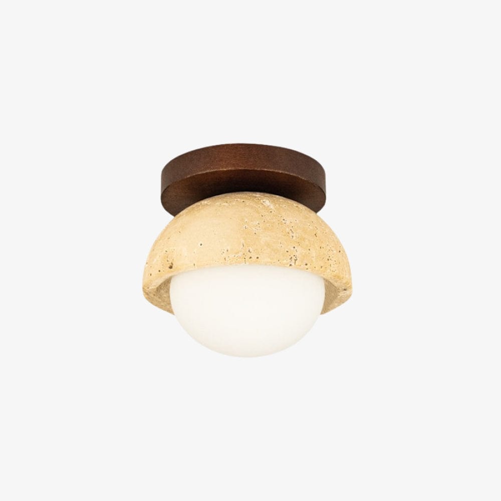 Interior Wall Light / Sconce Petra Wall / Ceiling Mount