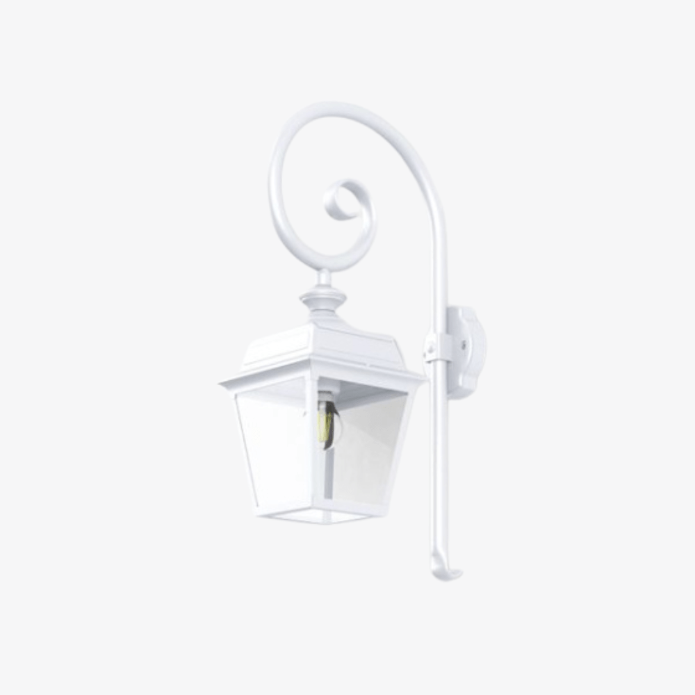 Exterior Wall Light Place des Vosges 1 Tradition N° 5 Swan Neck Wall Bracket Light