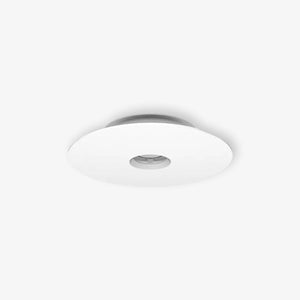 Interior Wall Light / Sconce Planar 170 Ceiling / Wall Light Type 1