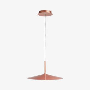 Interior Pendant Poe Plus Pendant - Copper – CLEARANCE (Ex-display)