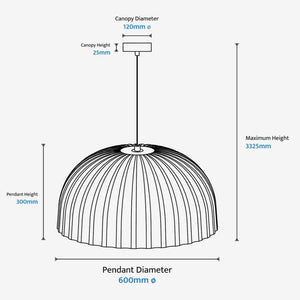 Interior Pendant Rachis Pendant