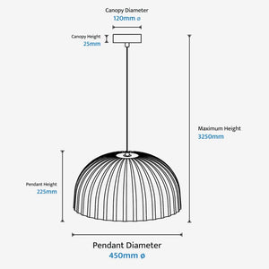 Interior Pendant Rachis Pendant