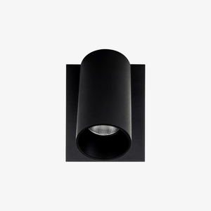 Exterior Wall Light Revo Single Adjustable Wall Light