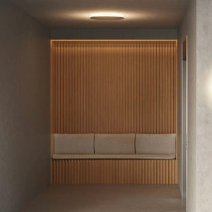 Interior Wall Light / Sconce Shadow Wall Light / Ceiling Light