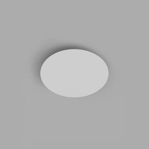 Interior Wall Light / Sconce Shadow Wall Light / Ceiling Light