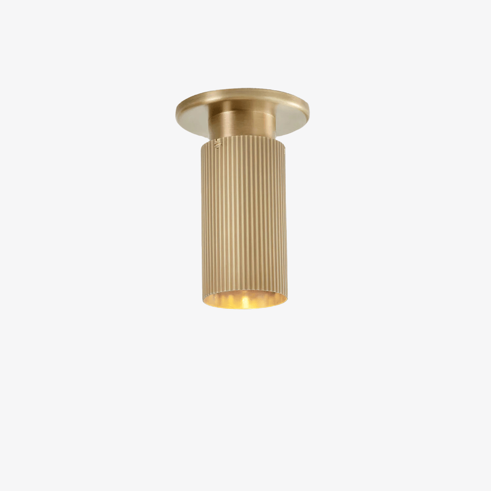 Interior Bar & Spot Spot Pro Downlight