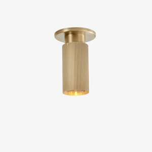 Interior Bar & Spot Spot Pro Downlight