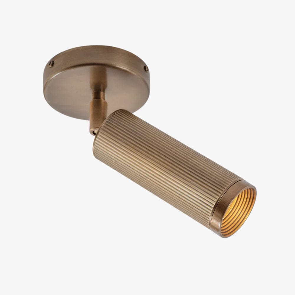 Interior Bar & Spot Spot Single Ceiling Light