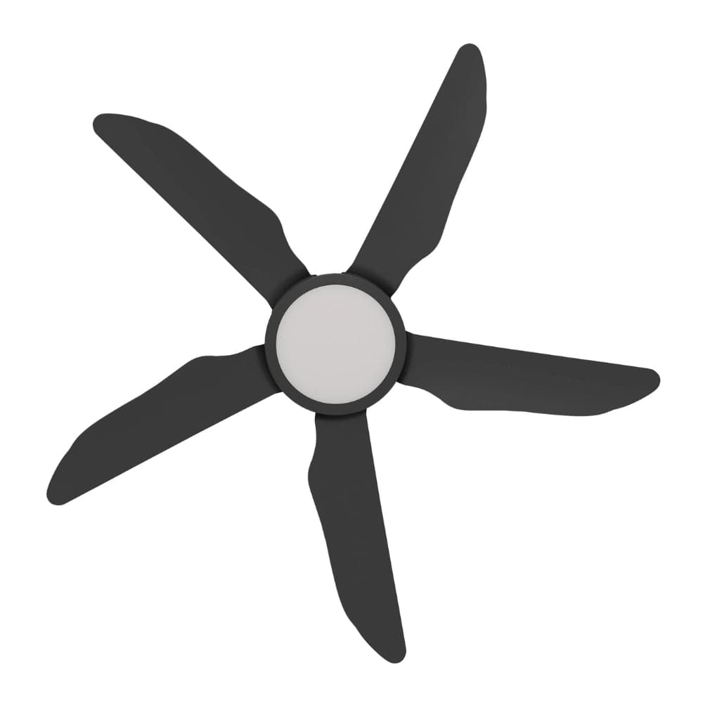 With Light Storm Ceiling Fan Black with Light