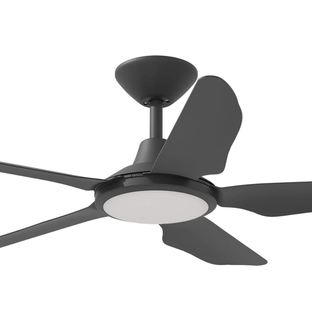 With Light Storm Ceiling Fan Black with Light