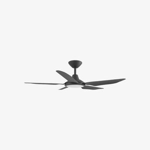 With Light Storm Ceiling Fan Black with Light